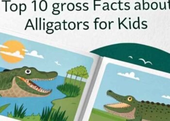 Gatorsgross.com Top 10 Gross Gator Facts For kids