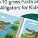 Gatorsgross.com Top 10 Gross Gator Facts For kids