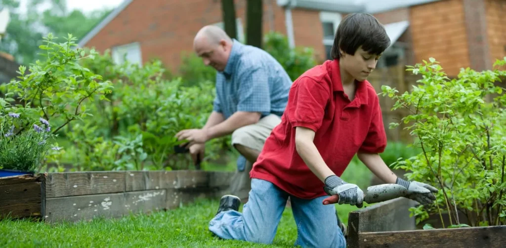 Eco-Friendly and Sustainable Veneajelu Practices